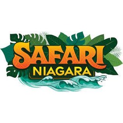 safari niagara groupon discount